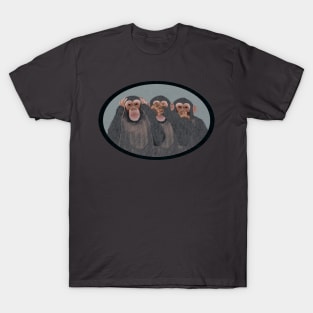 Hear No Evil, See No Evil, Speak No Evil T-Shirt